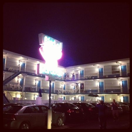 נורת' וויילדווד Bird Of Paradise Motel מראה חיצוני תמונה