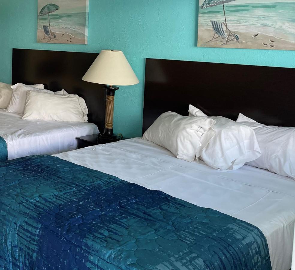 נורת' וויילדווד Bird Of Paradise Motel מראה חיצוני תמונה
