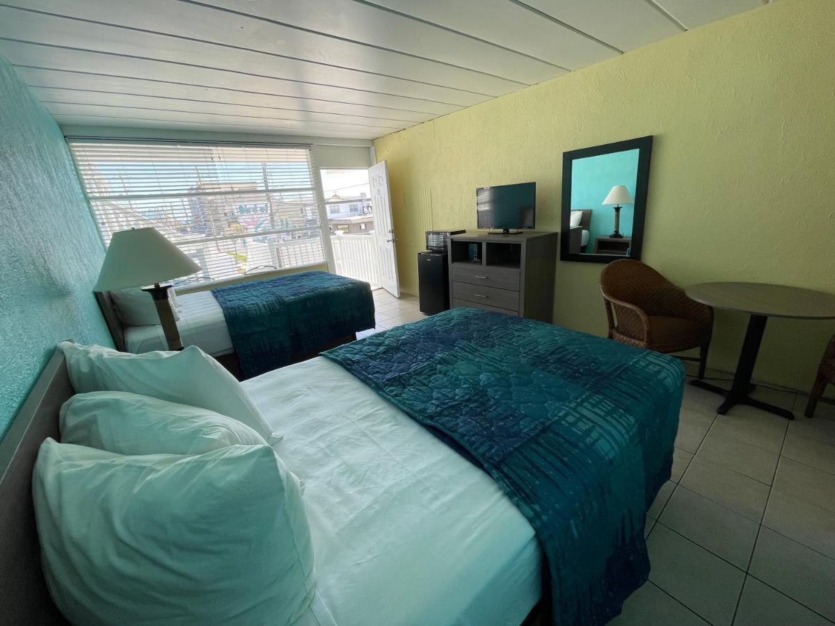 נורת' וויילדווד Bird Of Paradise Motel מראה חיצוני תמונה