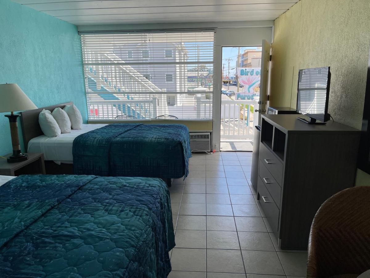 נורת' וויילדווד Bird Of Paradise Motel מראה חיצוני תמונה