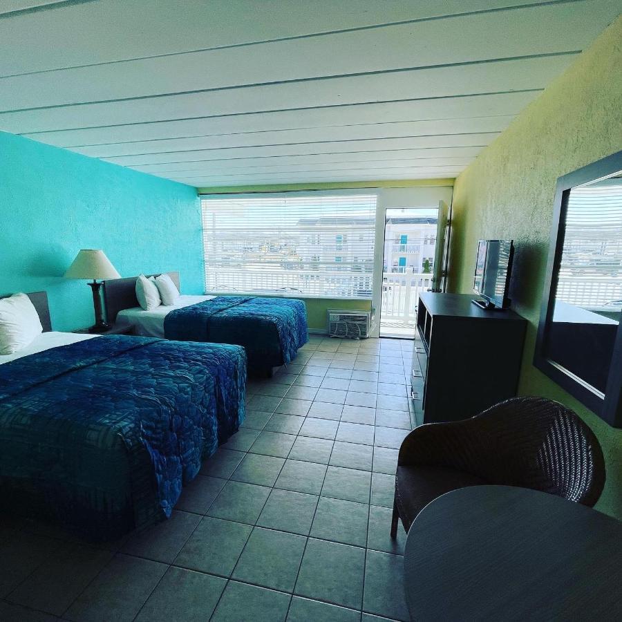 נורת' וויילדווד Bird Of Paradise Motel מראה חיצוני תמונה