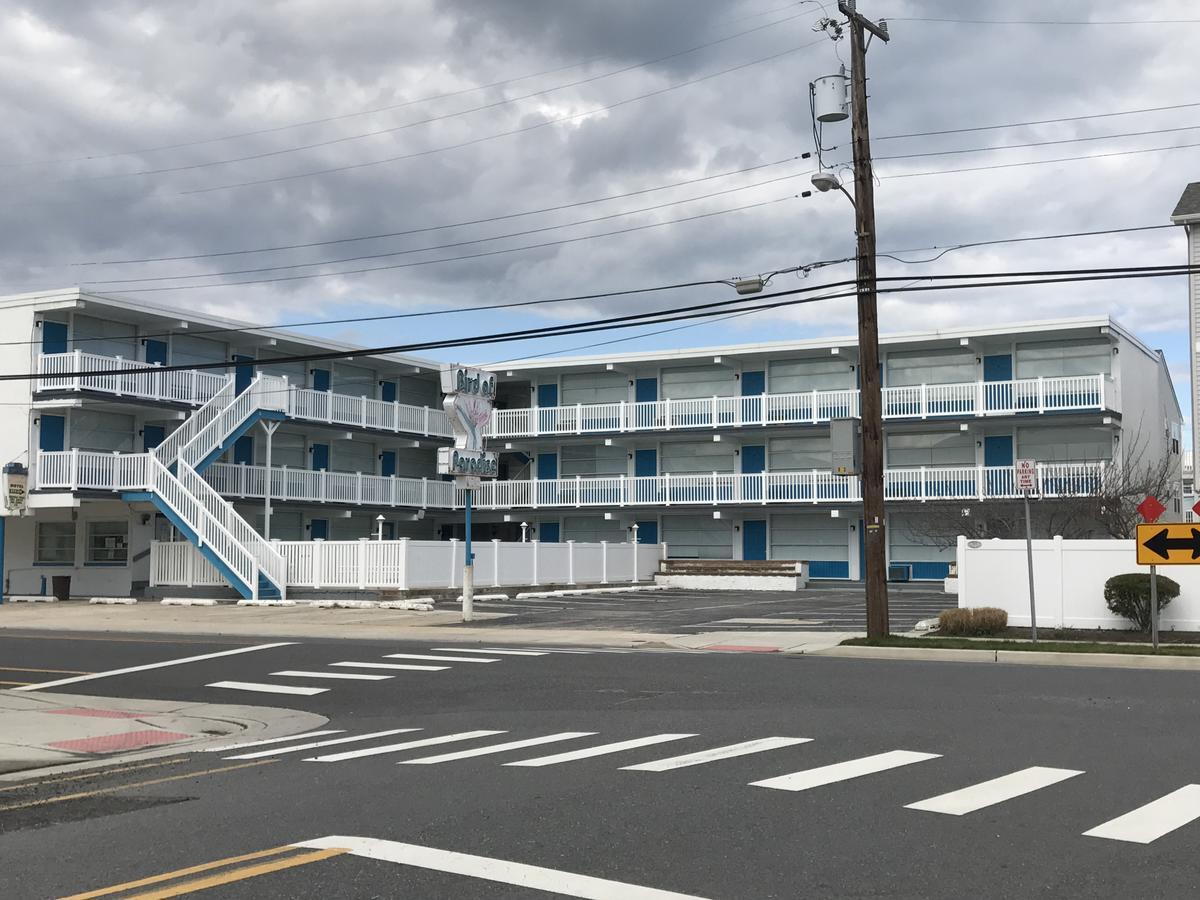 נורת' וויילדווד Bird Of Paradise Motel מראה חיצוני תמונה