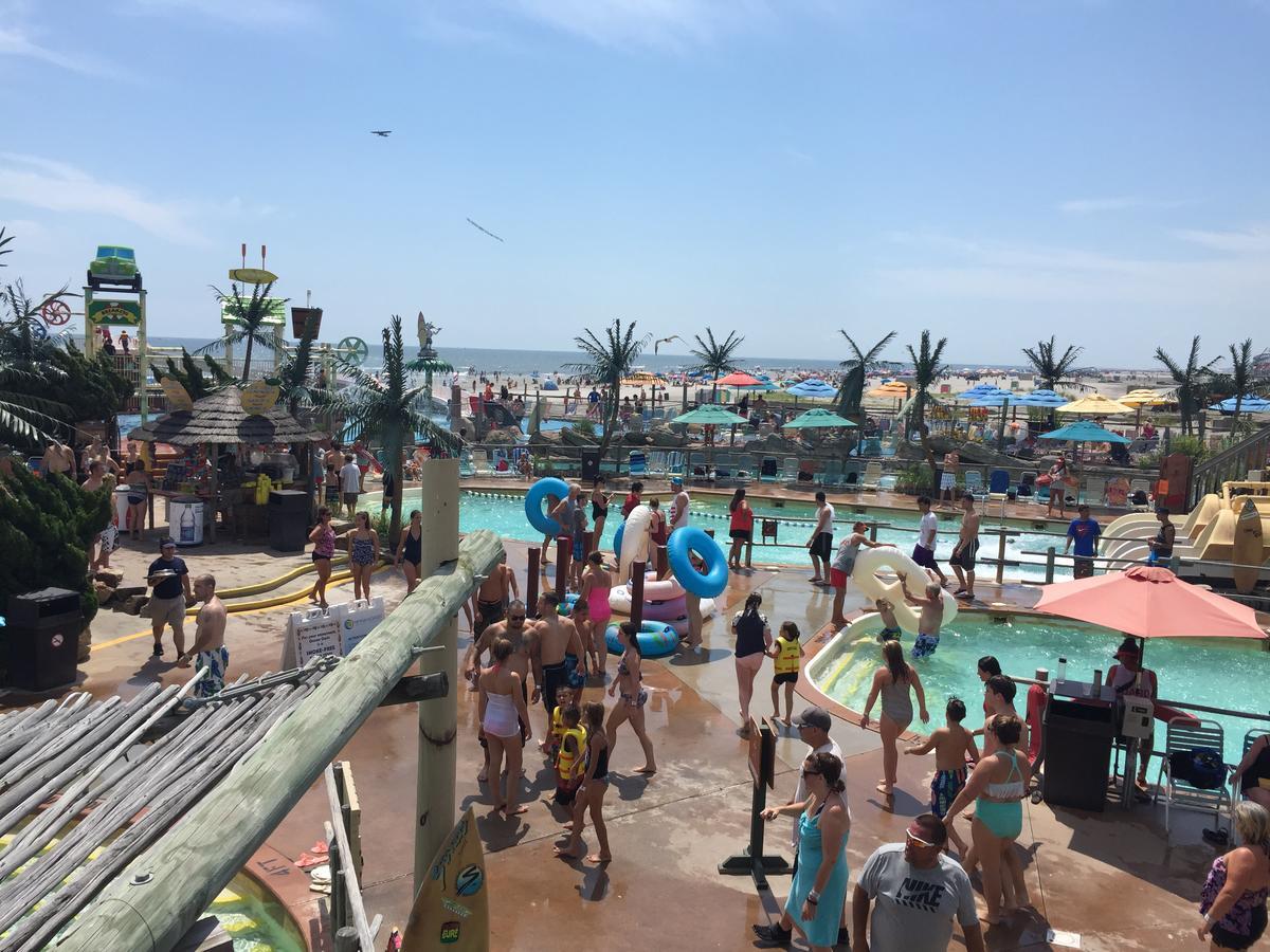 נורת' וויילדווד Bird Of Paradise Motel מראה חיצוני תמונה
