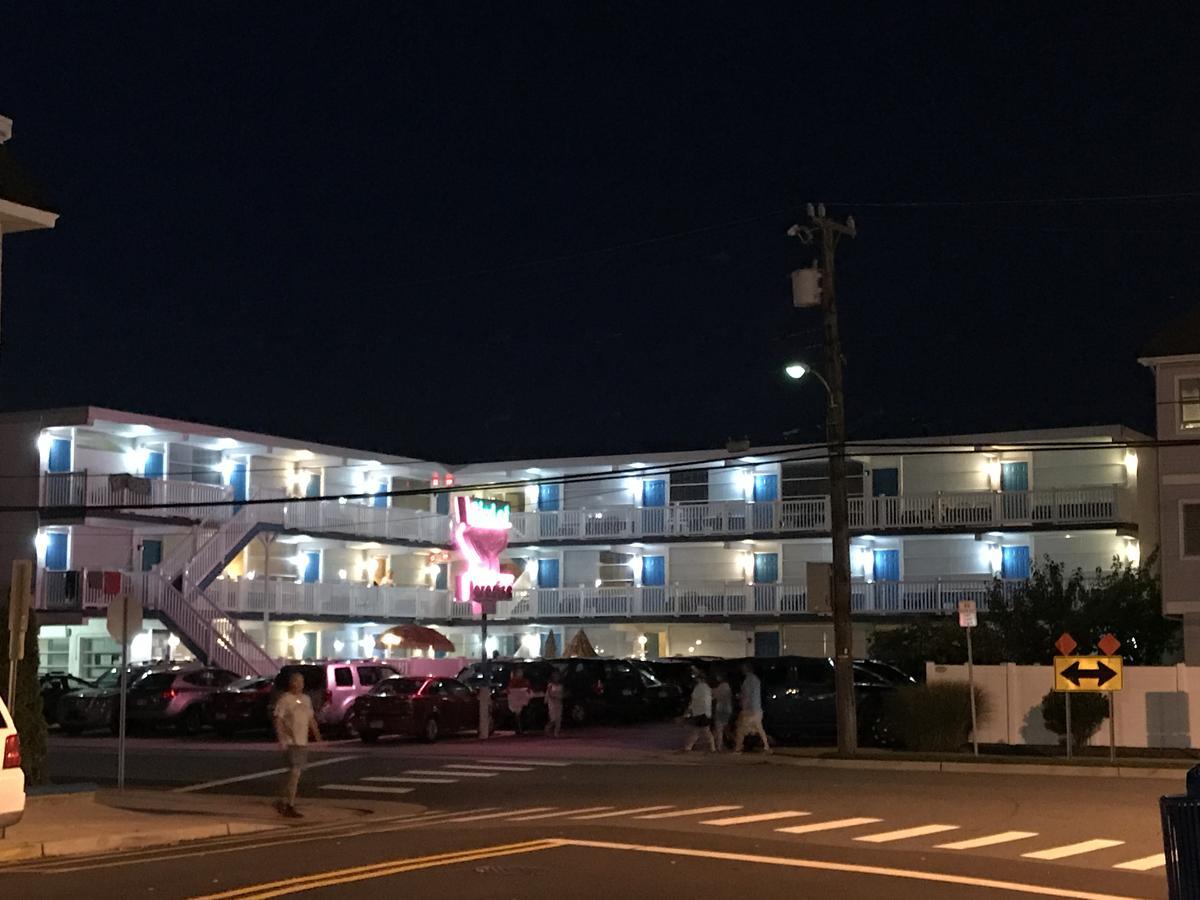נורת' וויילדווד Bird Of Paradise Motel מראה חיצוני תמונה