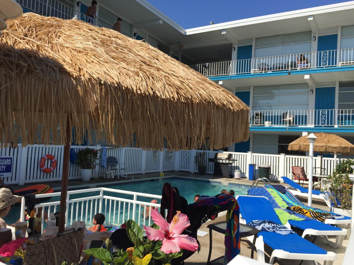 נורת' וויילדווד Bird Of Paradise Motel מראה חיצוני תמונה