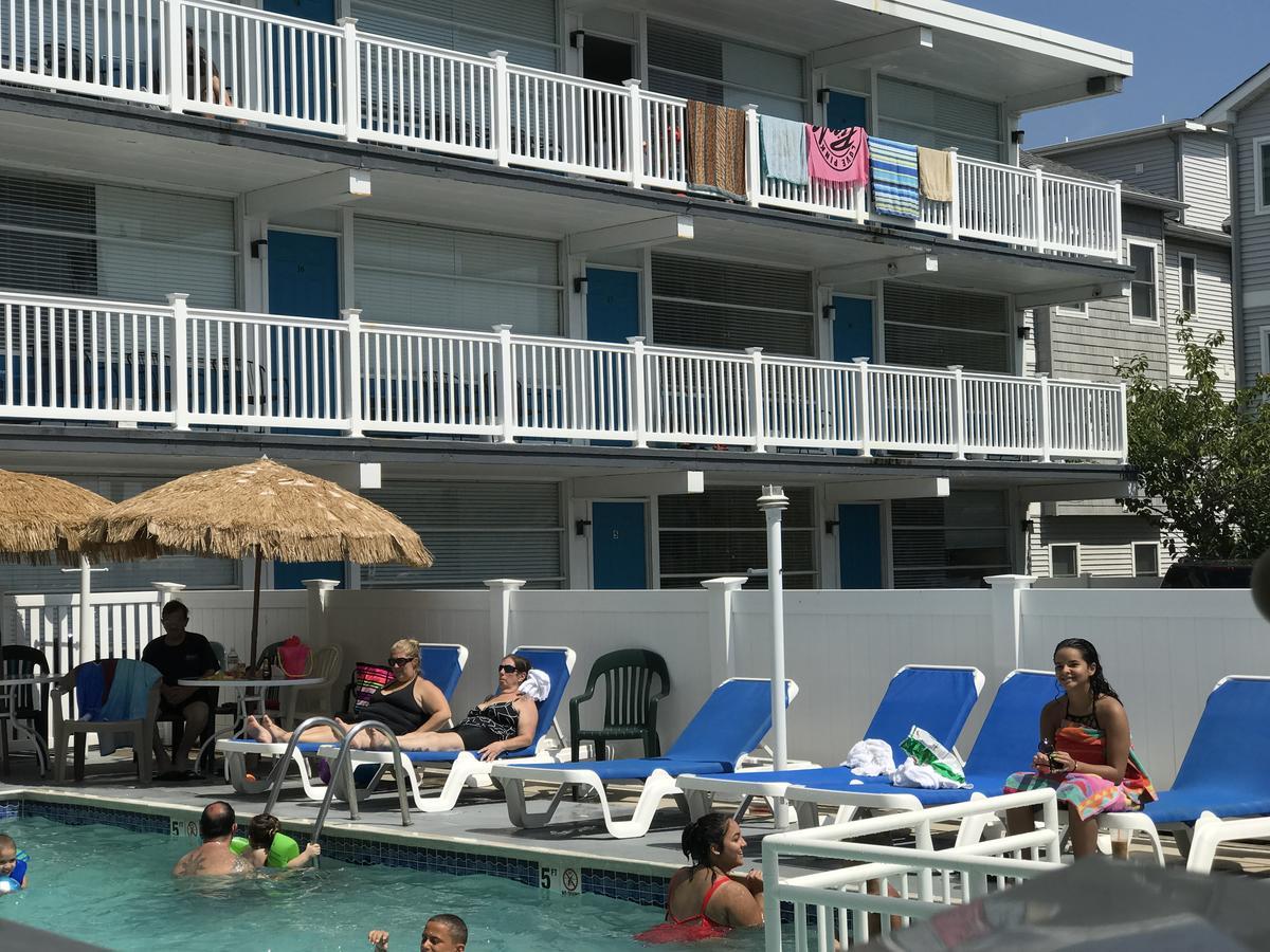 נורת' וויילדווד Bird Of Paradise Motel מראה חיצוני תמונה