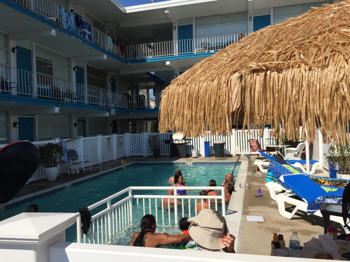 נורת' וויילדווד Bird Of Paradise Motel מראה חיצוני תמונה
