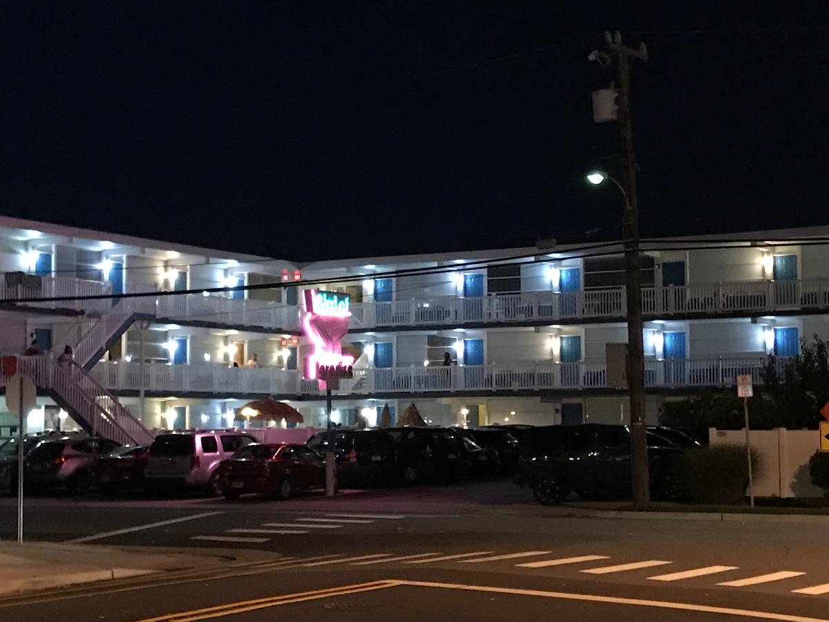 נורת' וויילדווד Bird Of Paradise Motel מראה חיצוני תמונה